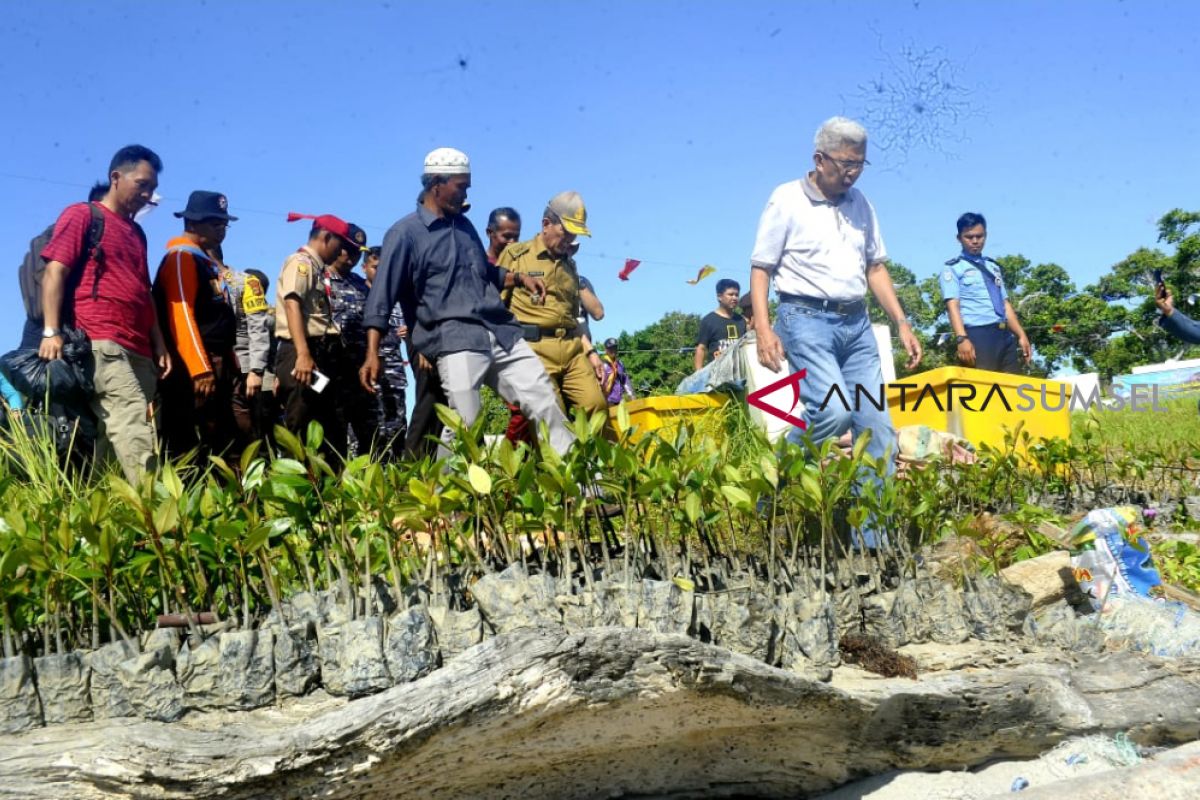 Sumsel jadikan Pulau Maspari objek wisata bahari
