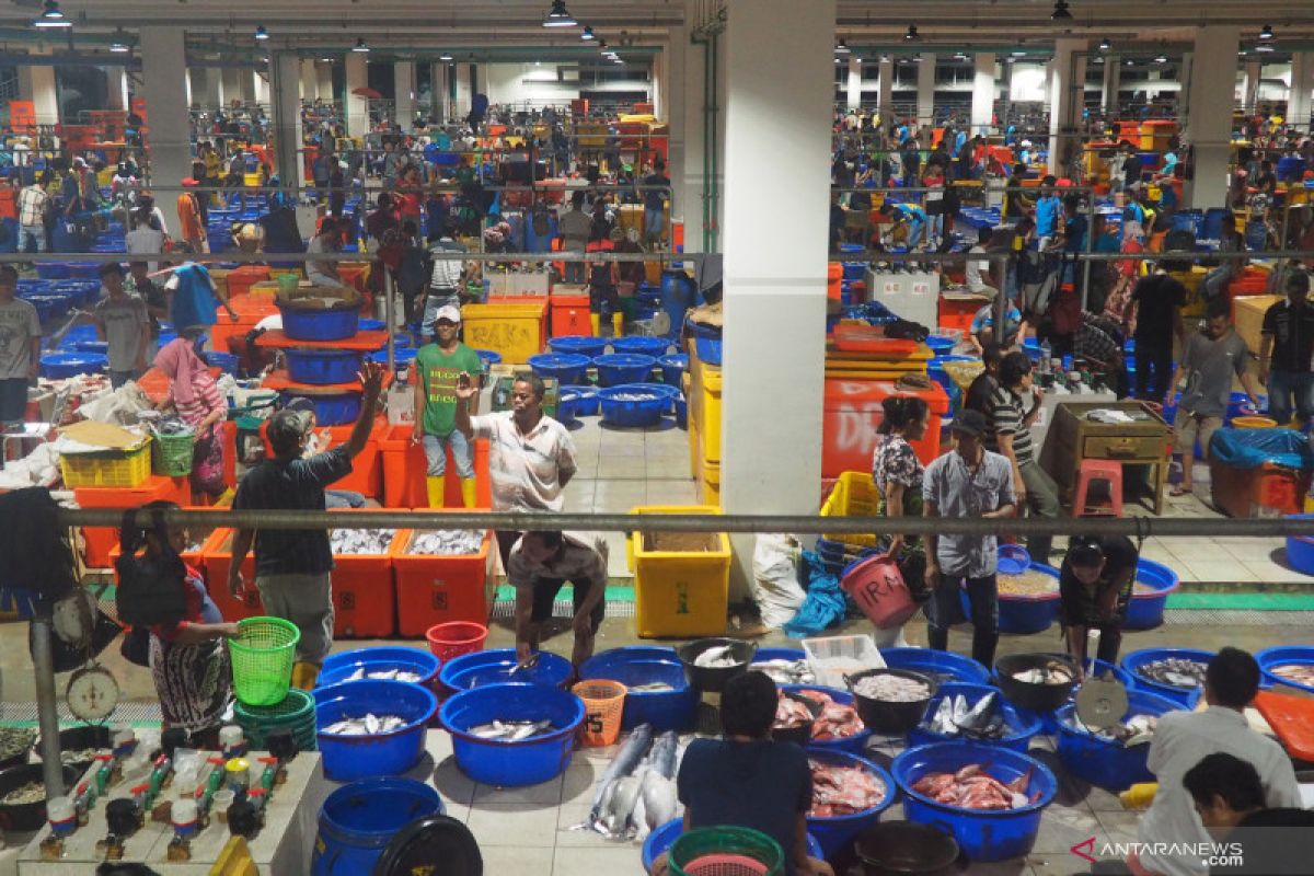 Pasar Ikan Modern Muara Baru raup transaksi Rp7 miliar/hari