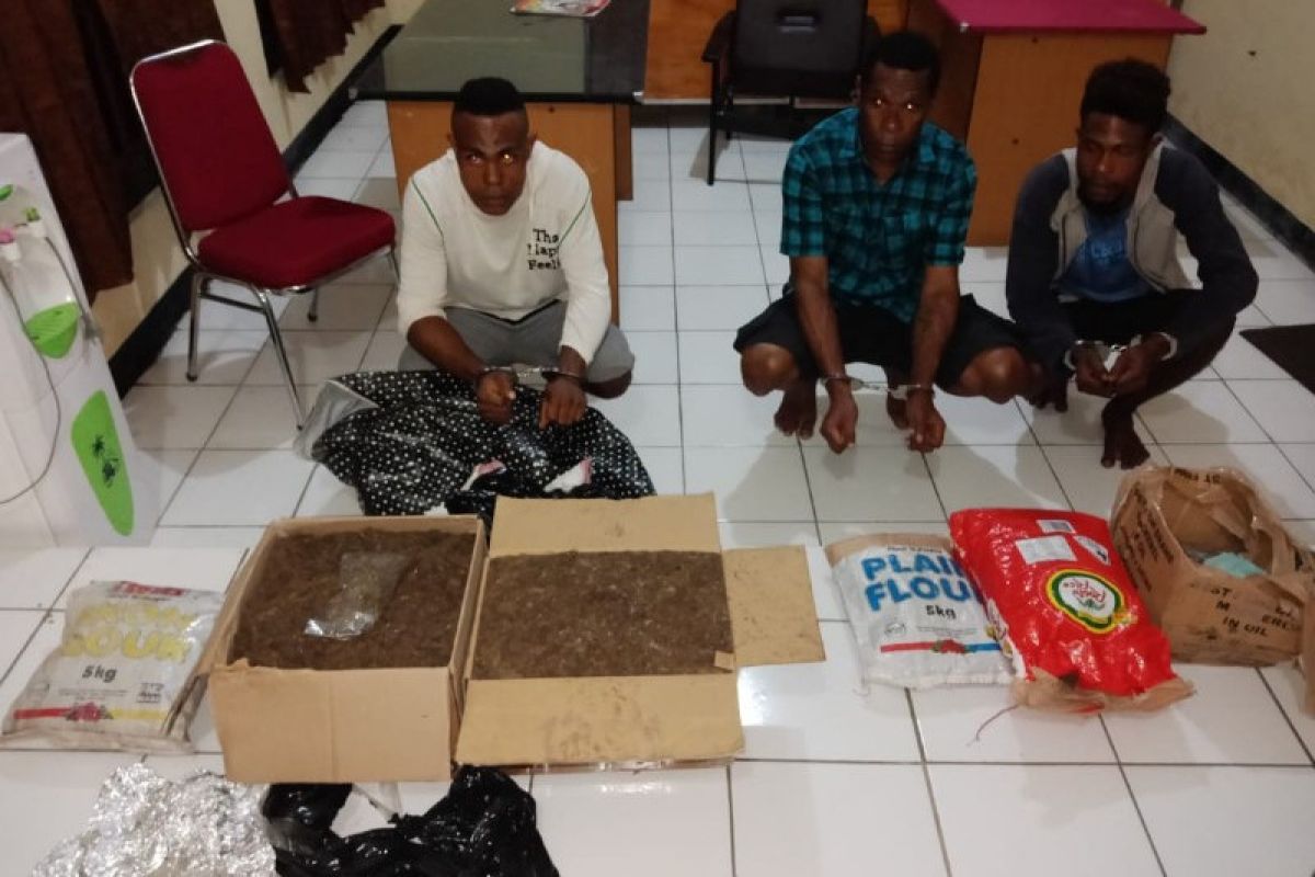 Polda Papua tangkap tiga pengedar ganja berkebangsaan PNG