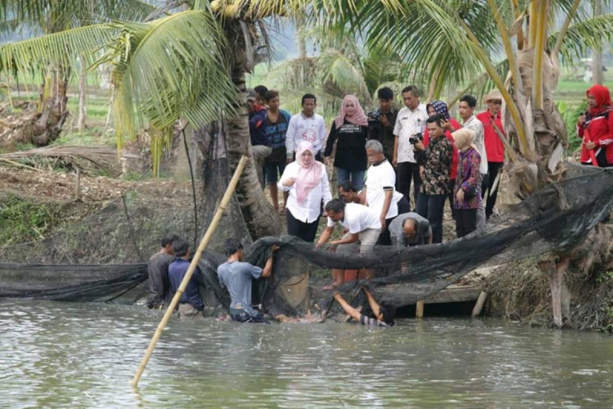 Pemkab Optimistis Produksi Ikan Tawar Penuhi Pasar Lokal