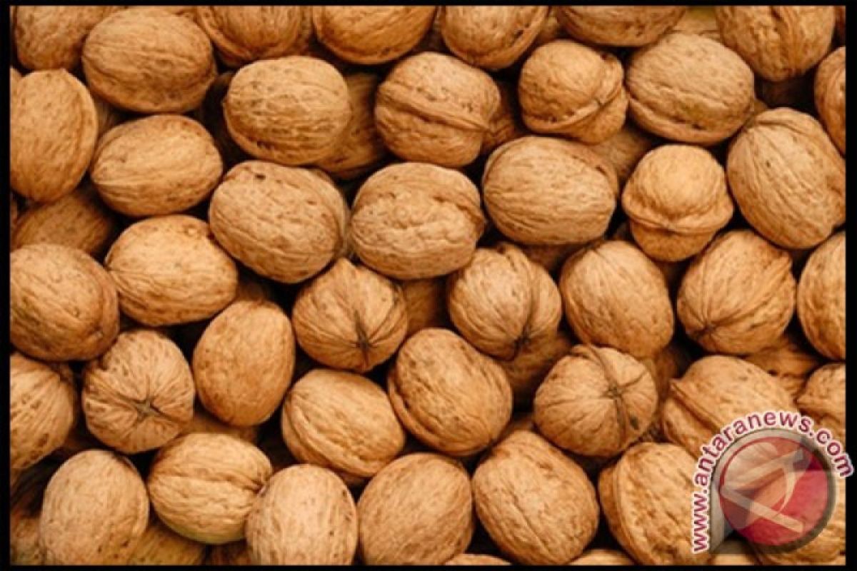 Menurut studi, kacang ternyata bagus untuk penderita diabetes