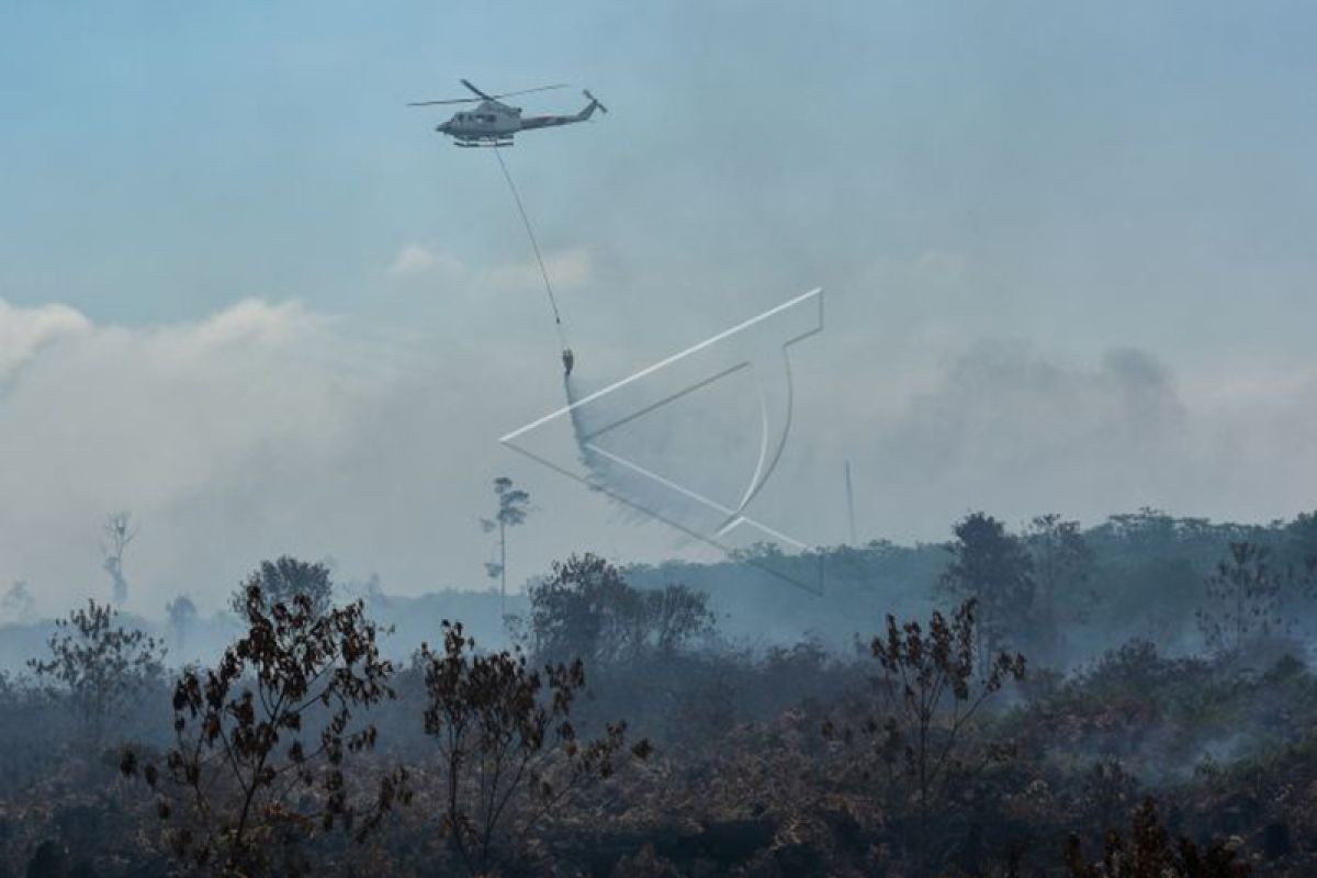 Memasuki musim kemarau, Sumatera-Kalimantan waspada peningkatan kebakaran lahan