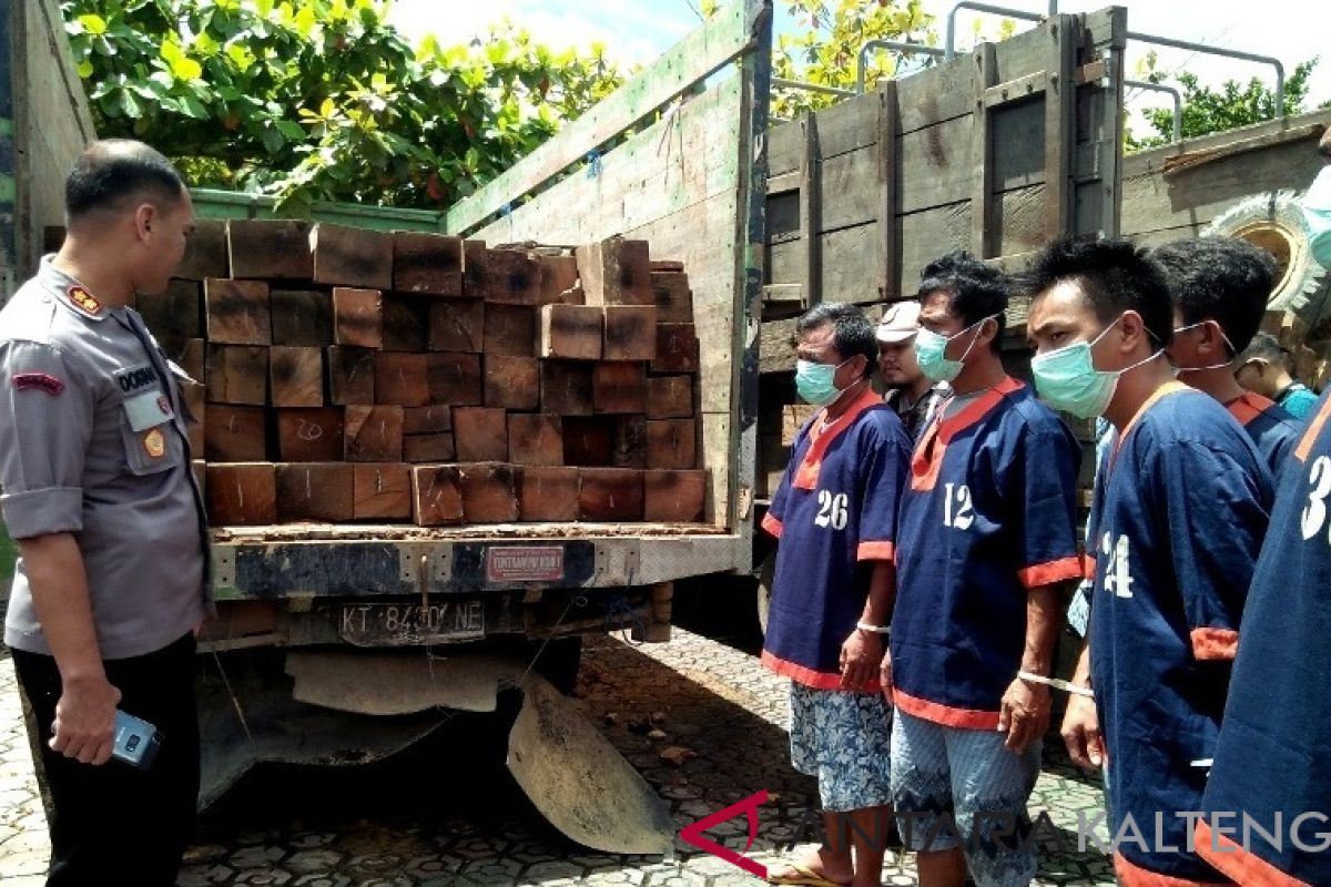 Polres Barito Utara amankan delapan truk bermuatan kayu olahan ilegal