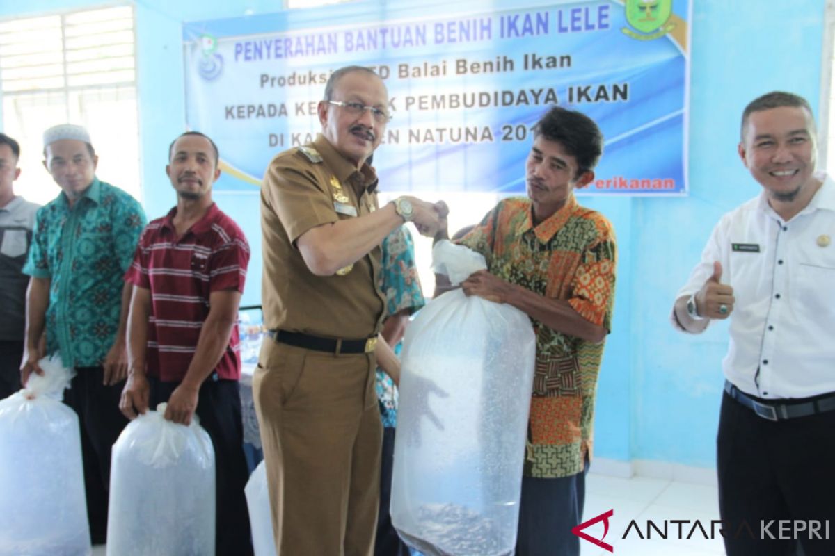 Dinas Perikanan Natuna Bagikan 10 Ribu Benih Lele