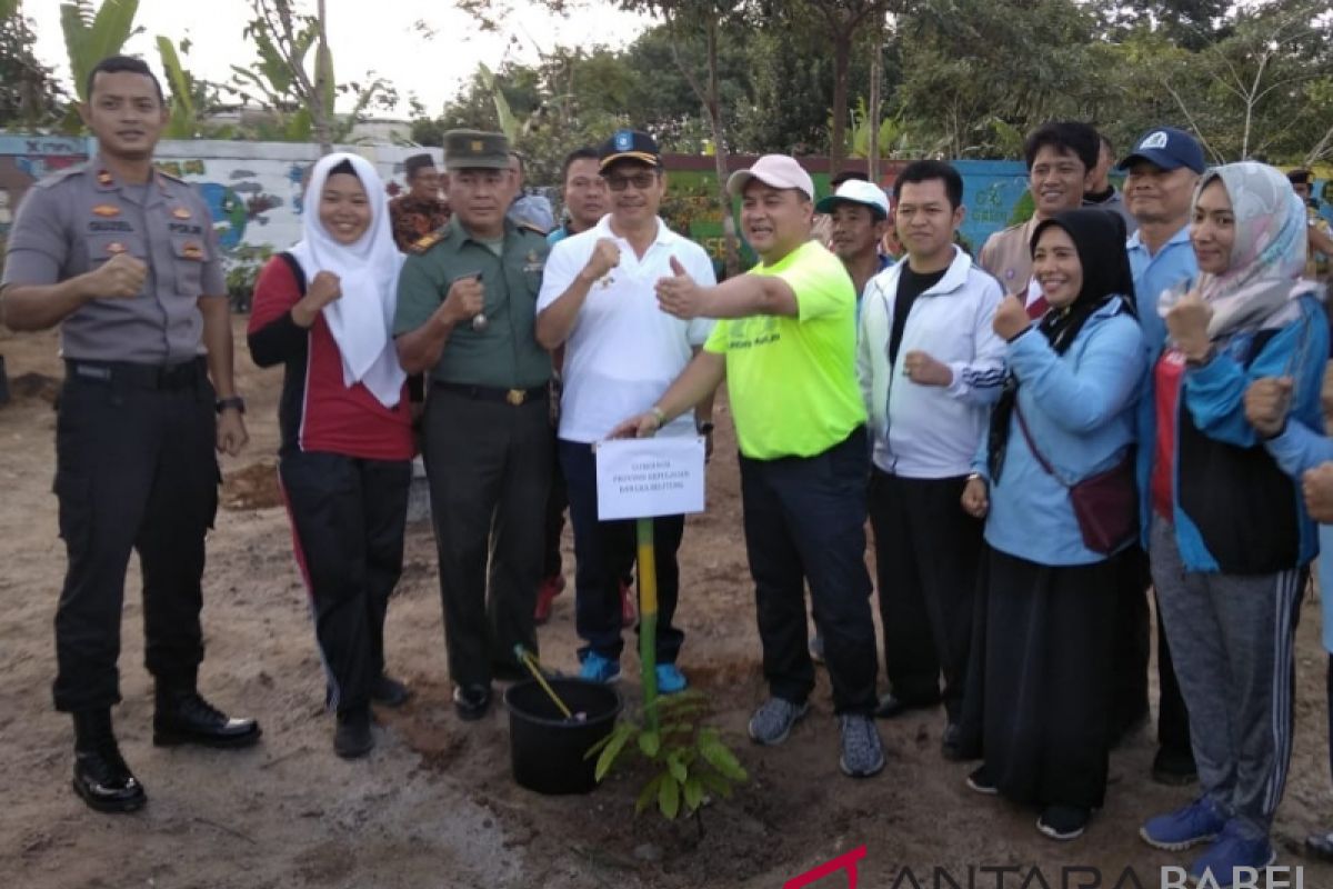 Gubernur Babel tanam pohon di lingkungan sekolah