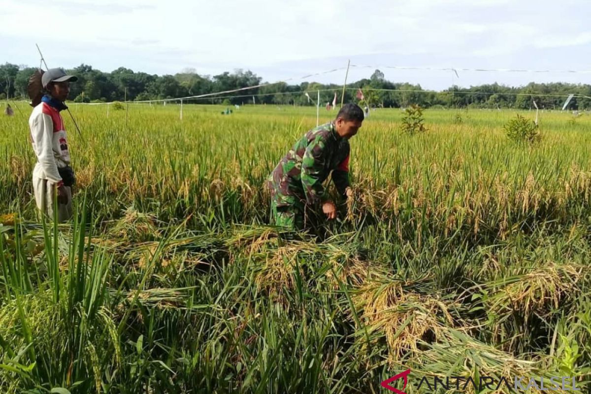 HST sudah mulai musim 'Katam'