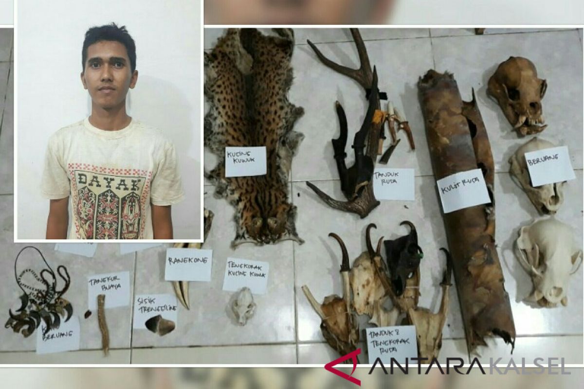 Polisi Tangkap Penjual Potongan Tubuh Satwa Dilindungi