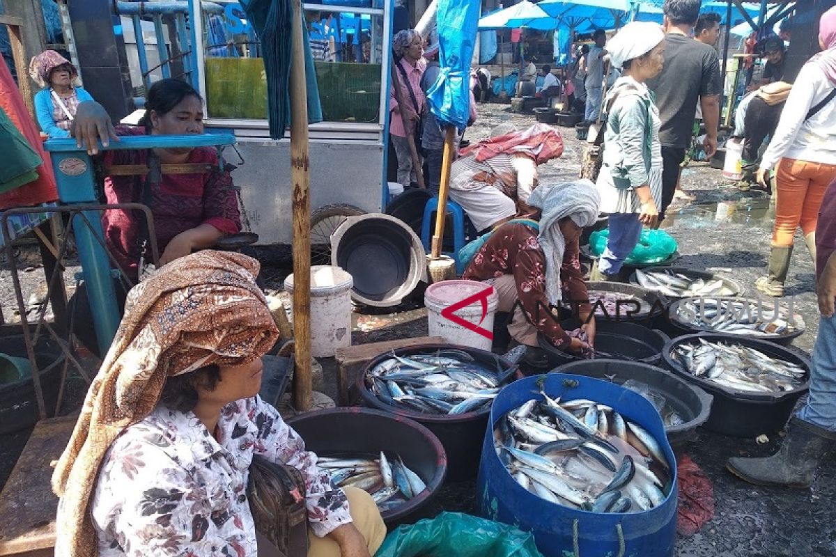 Harga ikan basah di Sibolga normal saat Imlek