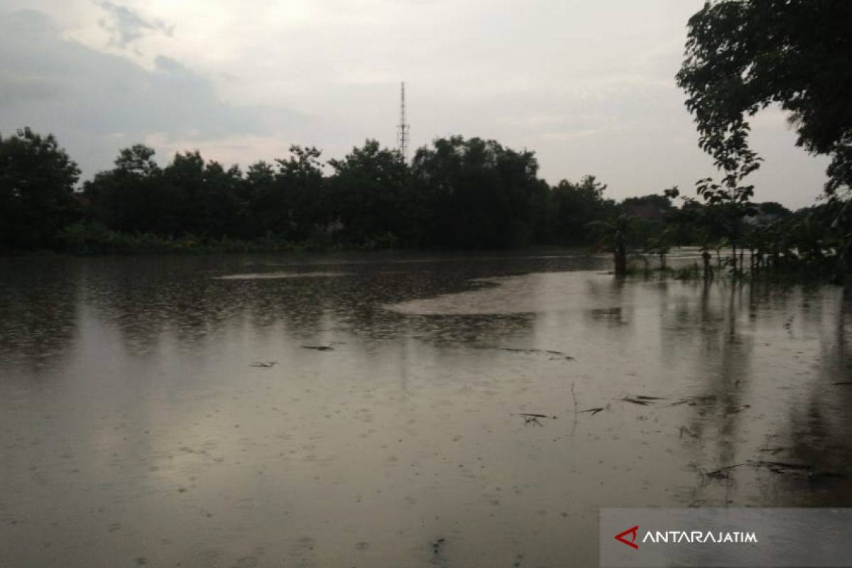 Banjir di Pamekasan Juga Rendam Lahan Pertanian