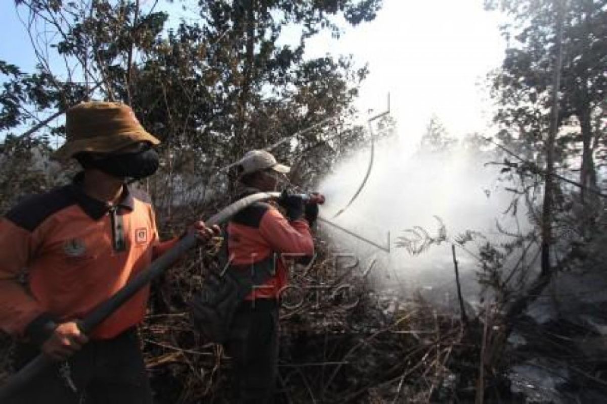 Manggala Agni: Karhutla Dumai dan Bengkalis Mulai Berhasil Dipadamkan