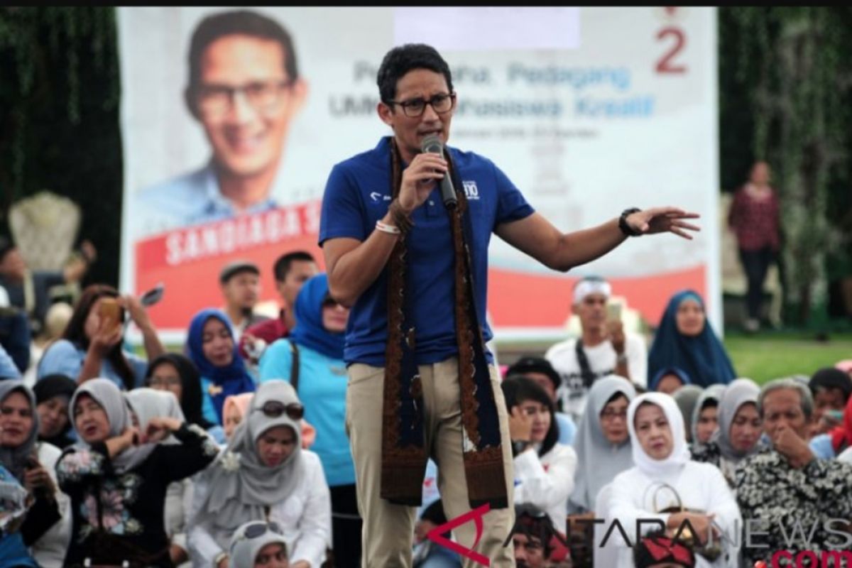 Sandiaga Uno soroti kasus penyelundupan rotan di Kalimantan Tengah