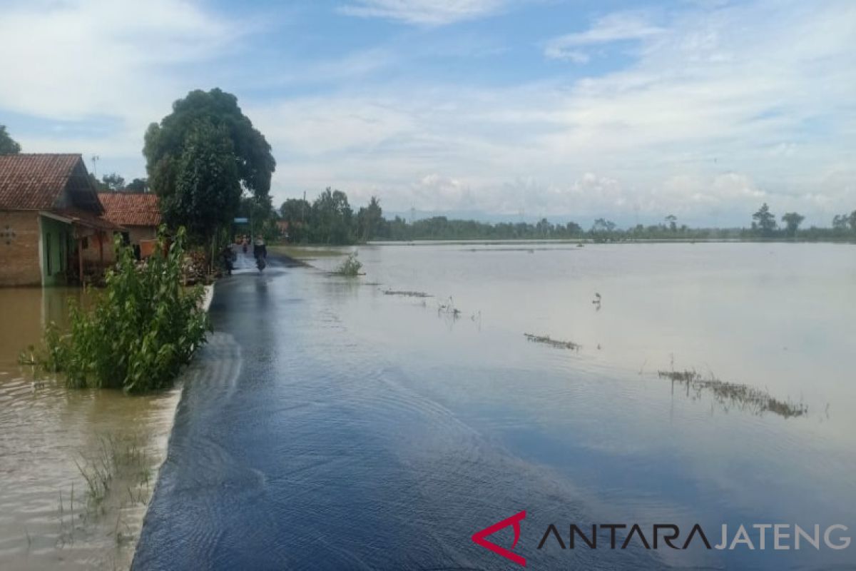 616 hektare sawah di Pekalongan terendam banjir