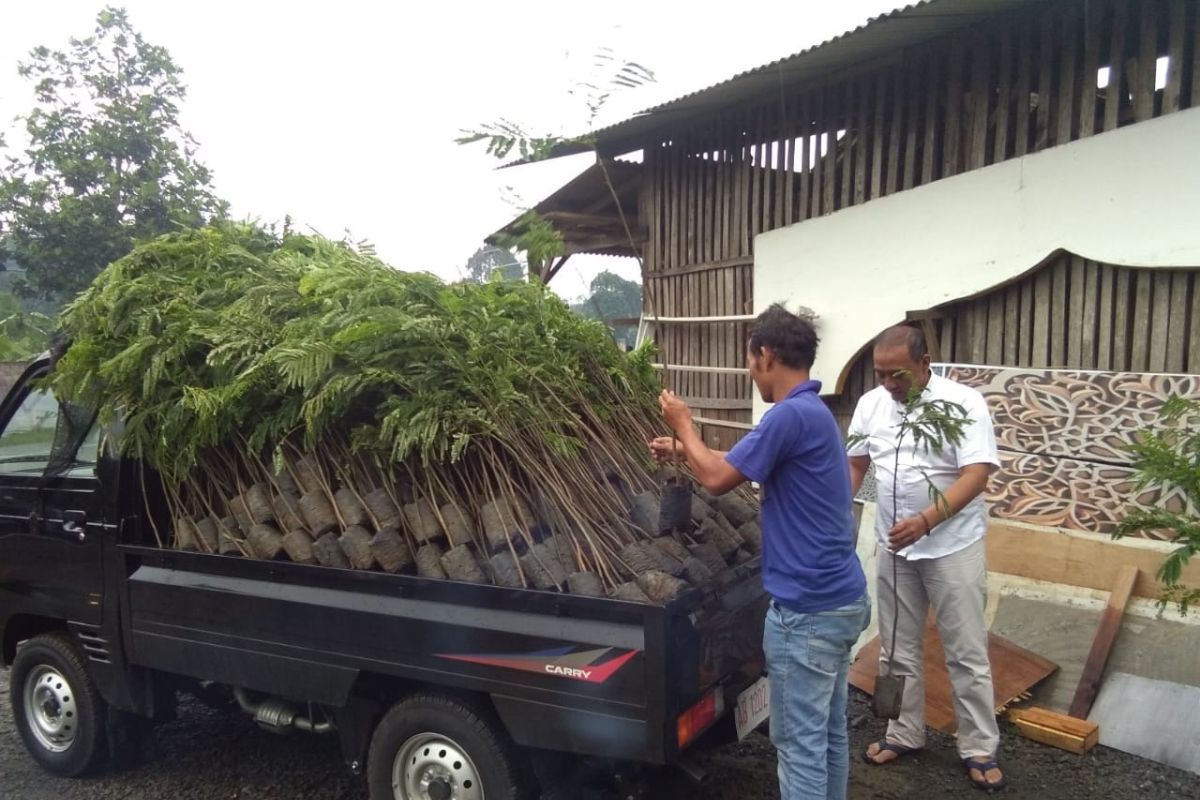 Perusahaan ini libatkan masyarakat pasok bahan baku kayu lapis