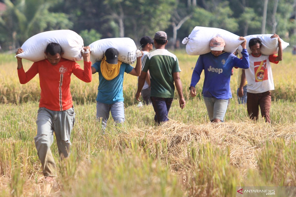 BPS: Upah nominal harian buruh Februari 2019 naik