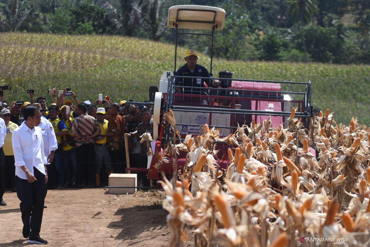 Menjadikan Gorontalo sentra jagung nasional