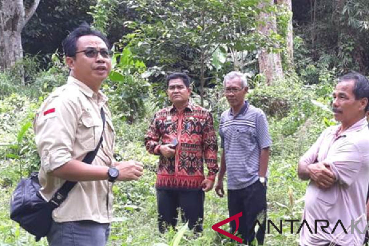 Kalbar serius kembangkan Durian Serumbut