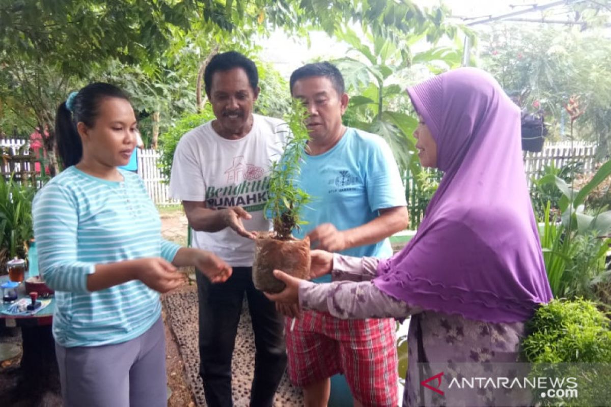 Siasat alami menangkal si nyamuk belang