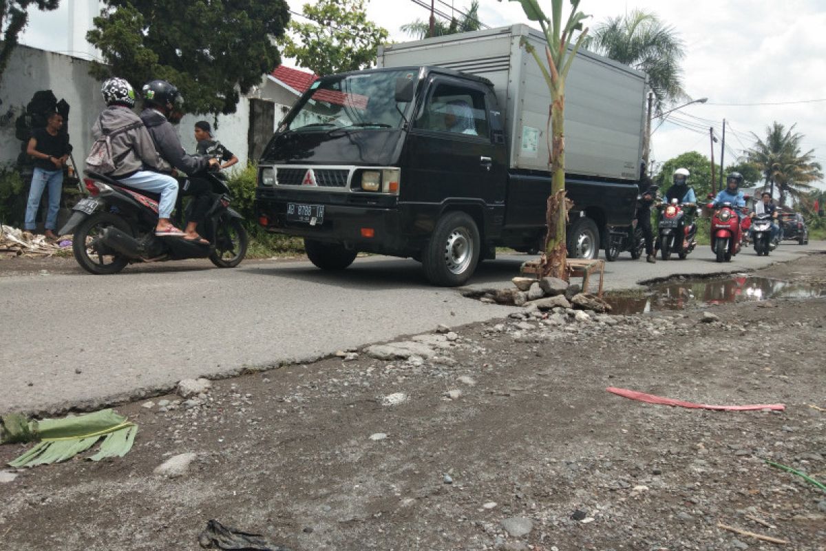 Warga Tamantirto Bantul tanami pohon pisang jalan berlubang