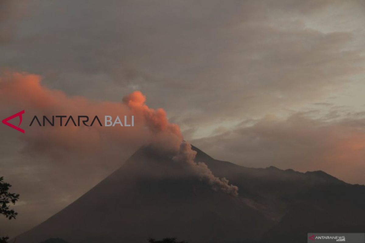 Awan panas guguran keluar dari Merapi