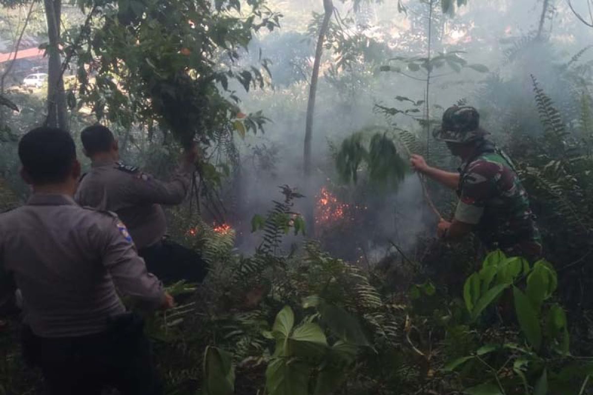 Dua hektare lahan di Aceh Tenggara terbakar diduga akibat puntung