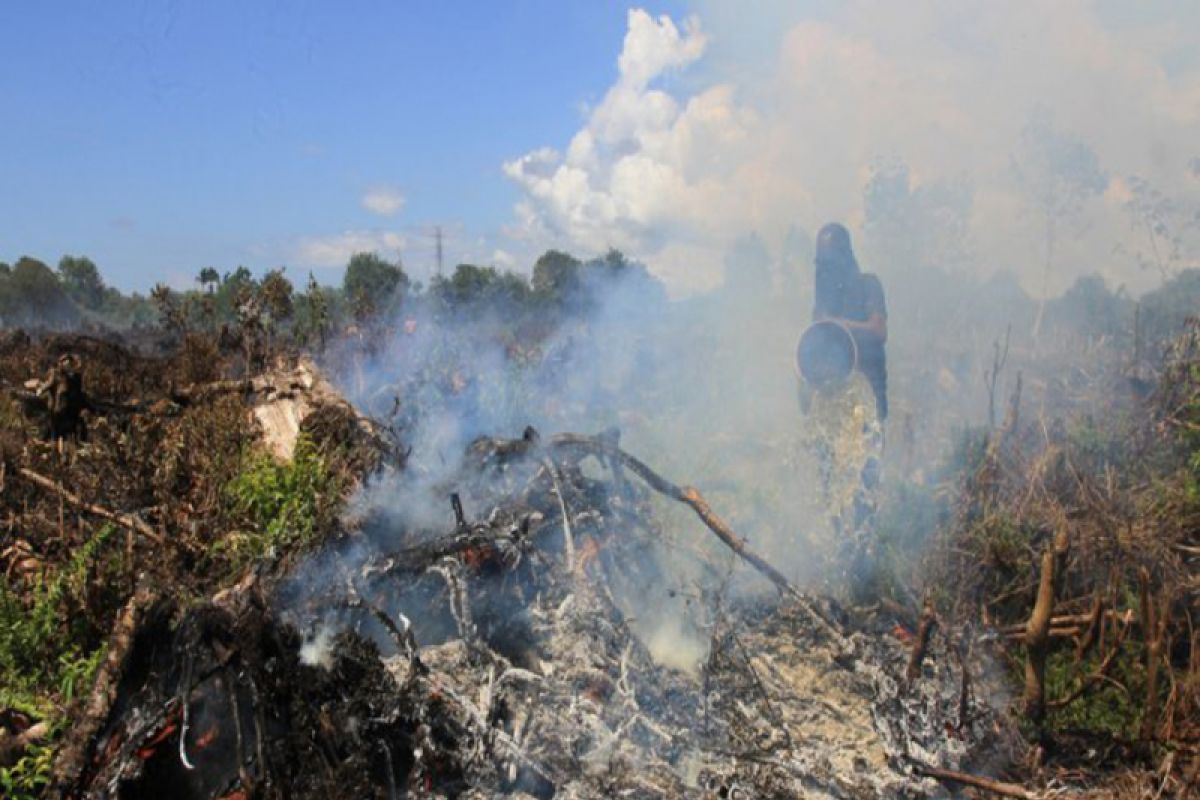 Joint team has put out 80 percent of peatland fires in Nagan Raya