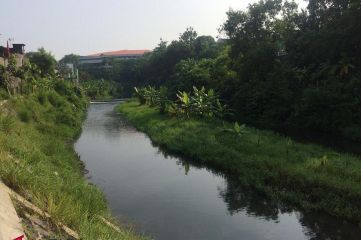 Bantaran Sungai Code dipenuhi sedimen