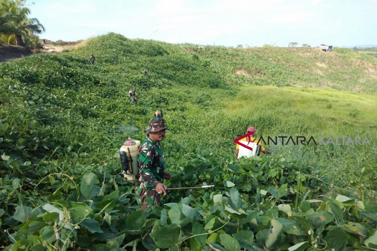 Kodim 0911 Nunukan ubah lahan "tidur" jadi produktif