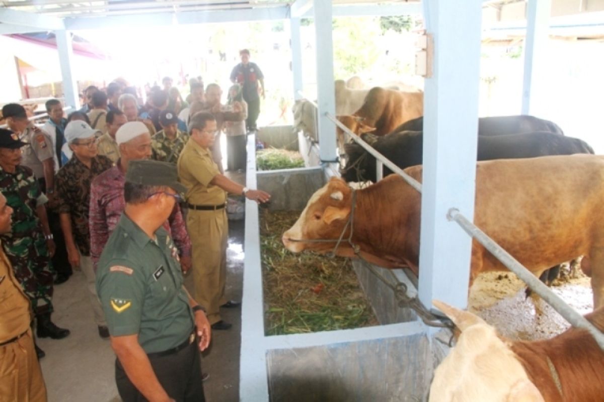 Kandang sapi komunal program sosial BI di Sausu mulai difungsikan