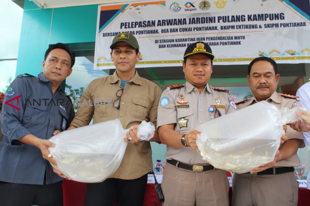 BBKSDA Riau dorong restorasi habitat ikan arwana Danau Gunung Sahilan