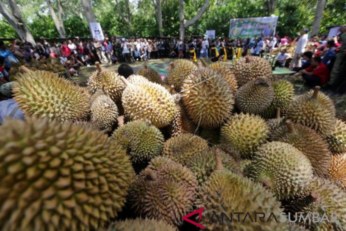 Hari ini, bazaar durian sampai pameran seni