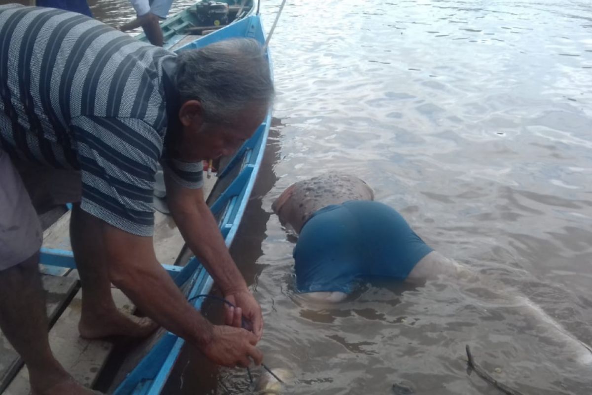 Jasad Suroso ditemukan di sekitar pelabuhan desa Papar Pujung