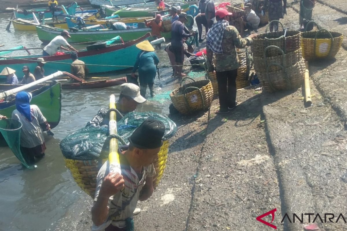 Harga anjlok, nelayan Jembrana panen ikan