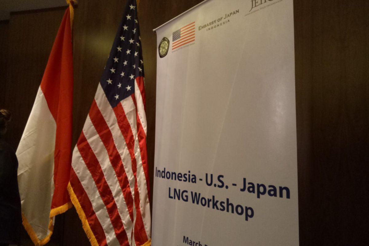 Pemerintah tawarkan 40 kargo LNG kepada AS-Jepang