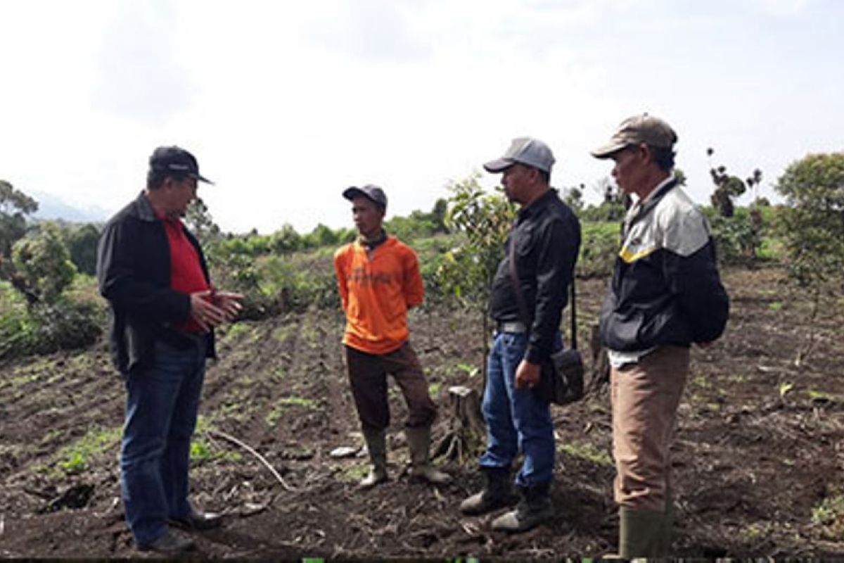 Peneliti BPTP gandeng petani tebu Kerinci terapkan teknologi penanaman