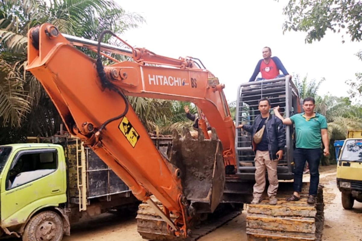 Petugas KLHK temukan kebun sawit ilegal 206 hektare