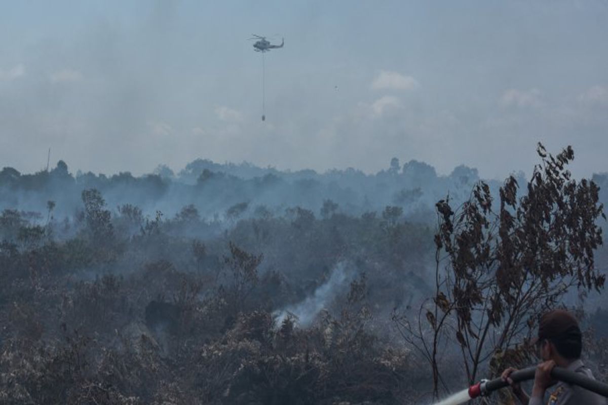 Land fires trigger haze in several areas in North Kalimantan