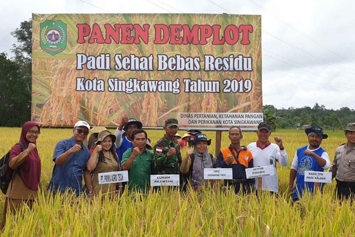 Padi Sehat Bebas Residu tingkatkan produktivitas petani