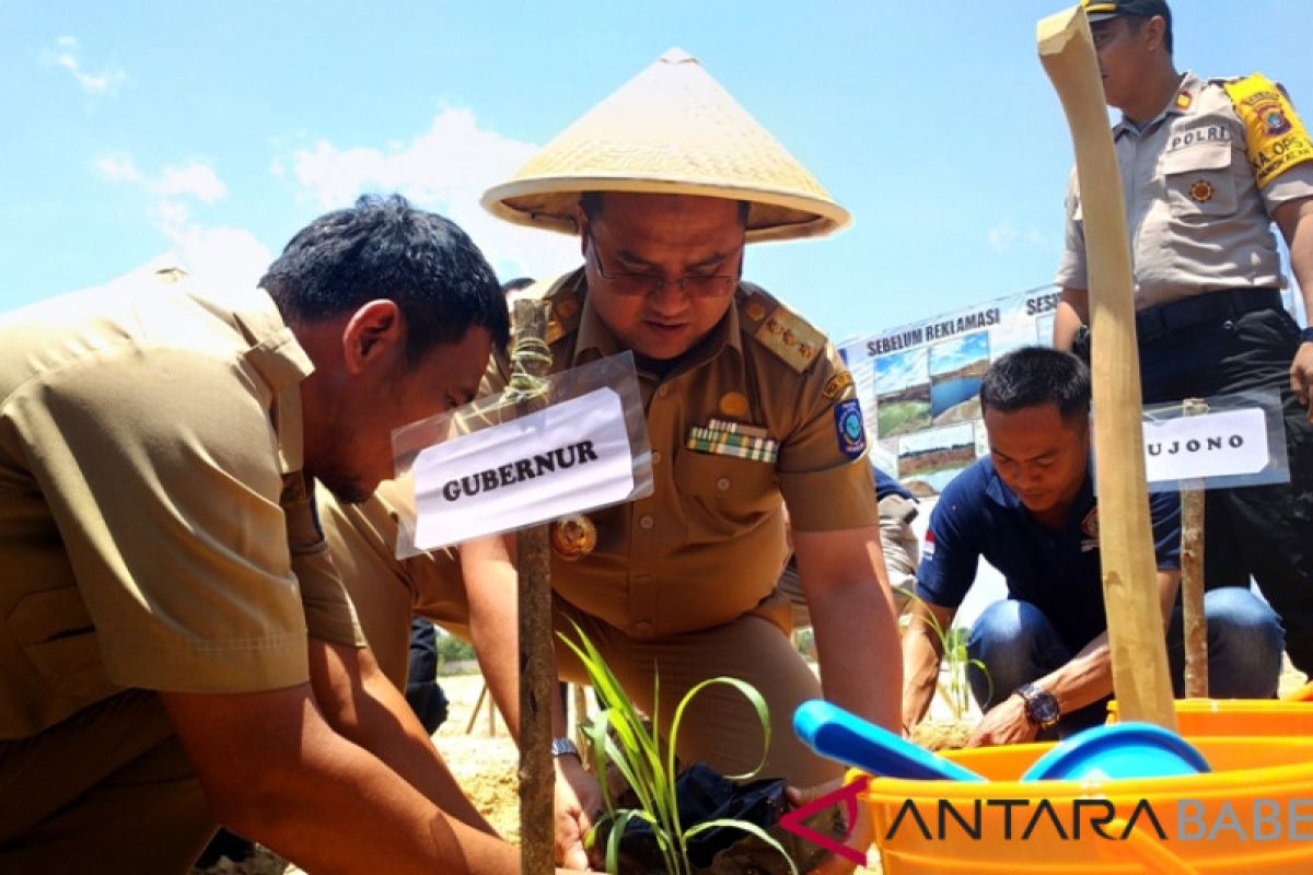 Gubernur Babel tanam sorgum lahan bekas tambang