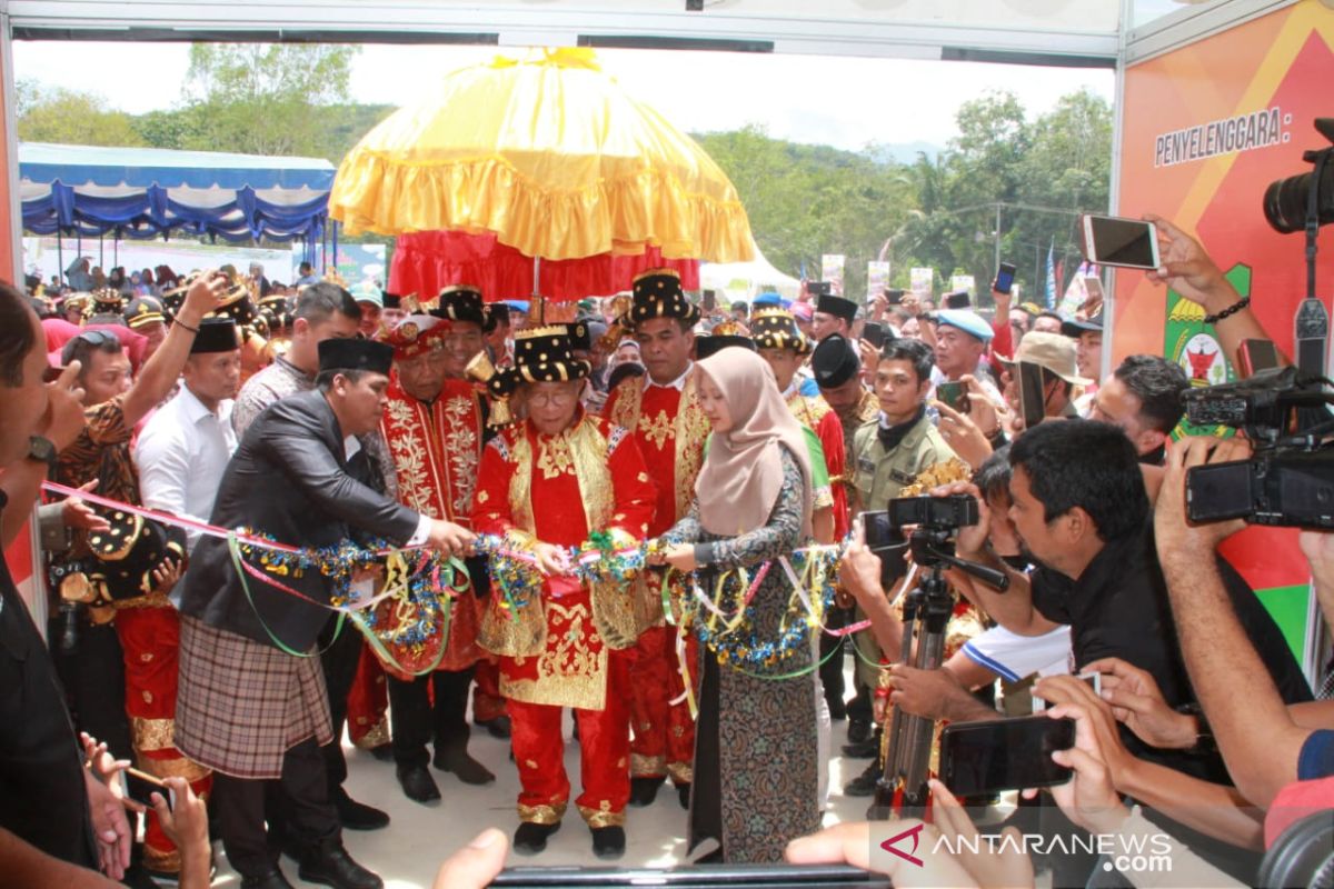 Menko Perekonomian buka pameran pembangunan HUT Madina ke-20