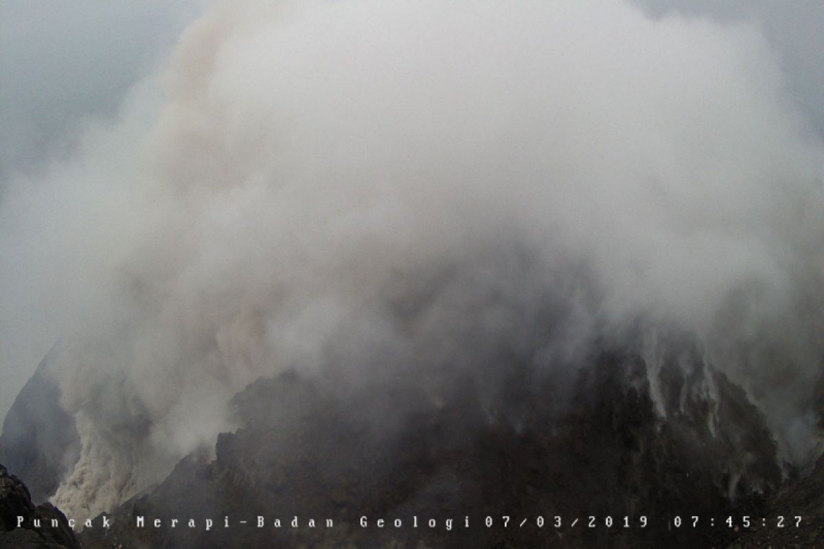 Gunung Merapi meluncurkan awan panas guguran 1.200 meter