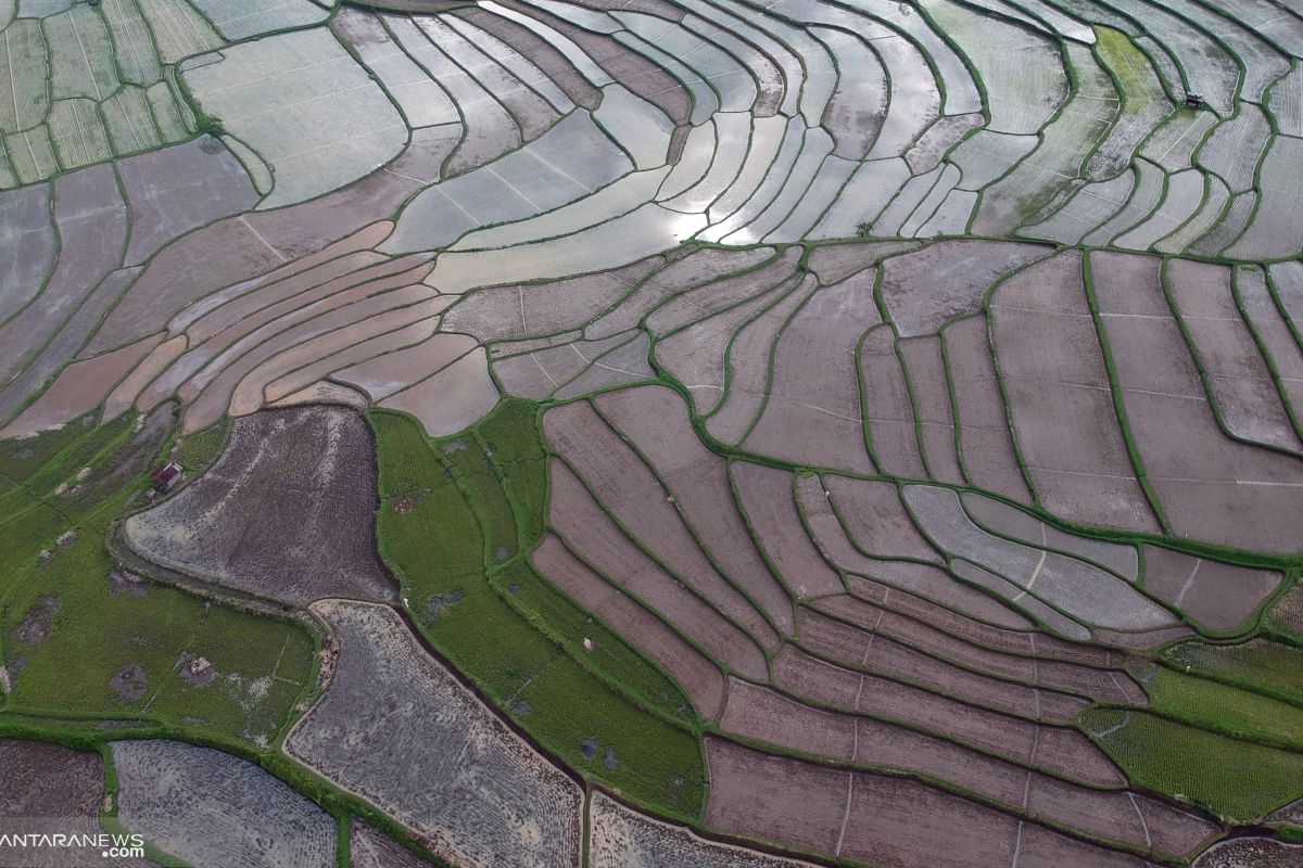 Distan Mukomuko tambah alat berat bantu cetak sawah