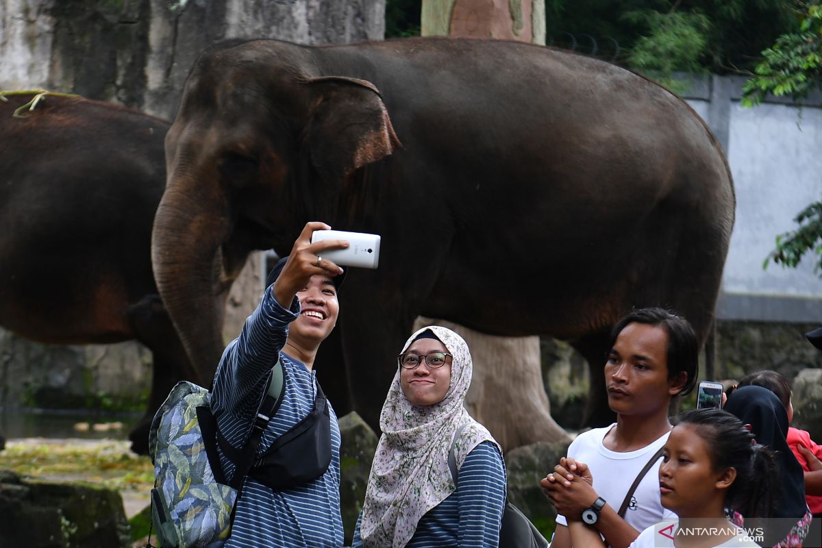 Ragunan pastikan korban pohon roboh dapat santunan