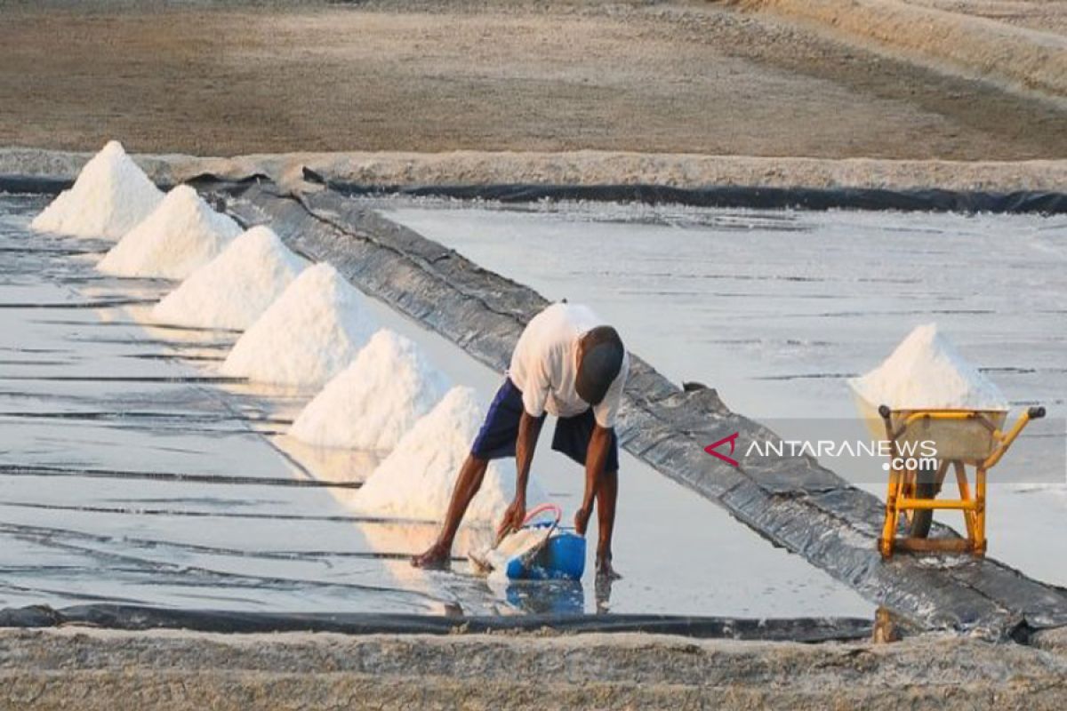 Indonesia must learn from India on how to manage salt commodities