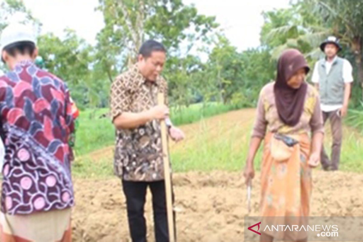 Kementan alokasikan Rp42 miliar untuk petani Pamekasan