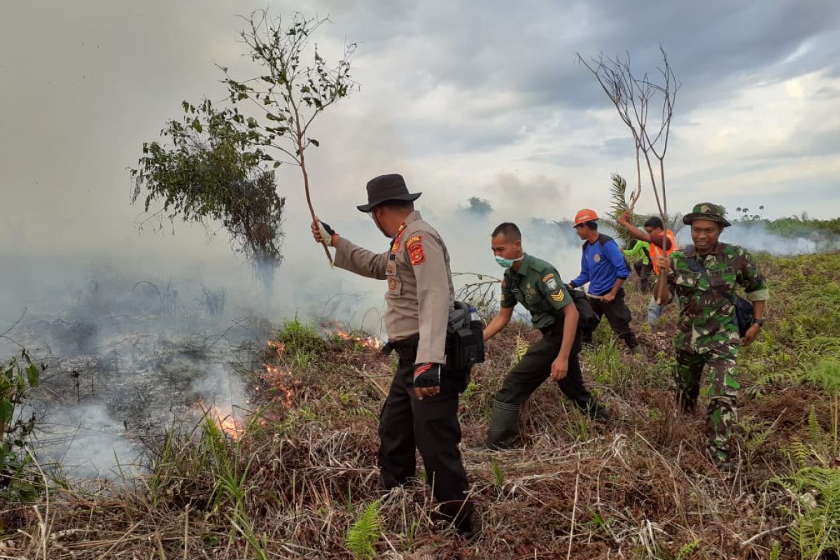 BPBA:  diduga kebakaran lahan 18,7 hektare di Nagan Raya disengaja