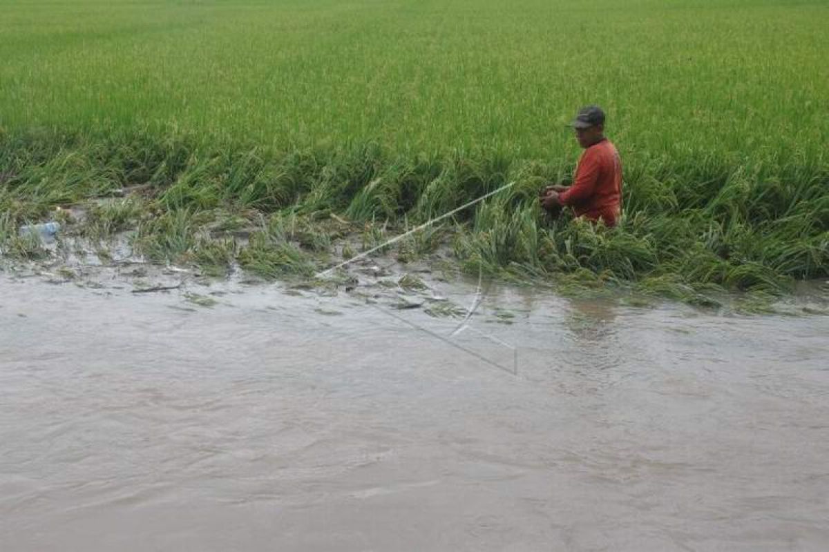 BPBD: banjir Klaten fenomena hidrometeorologi