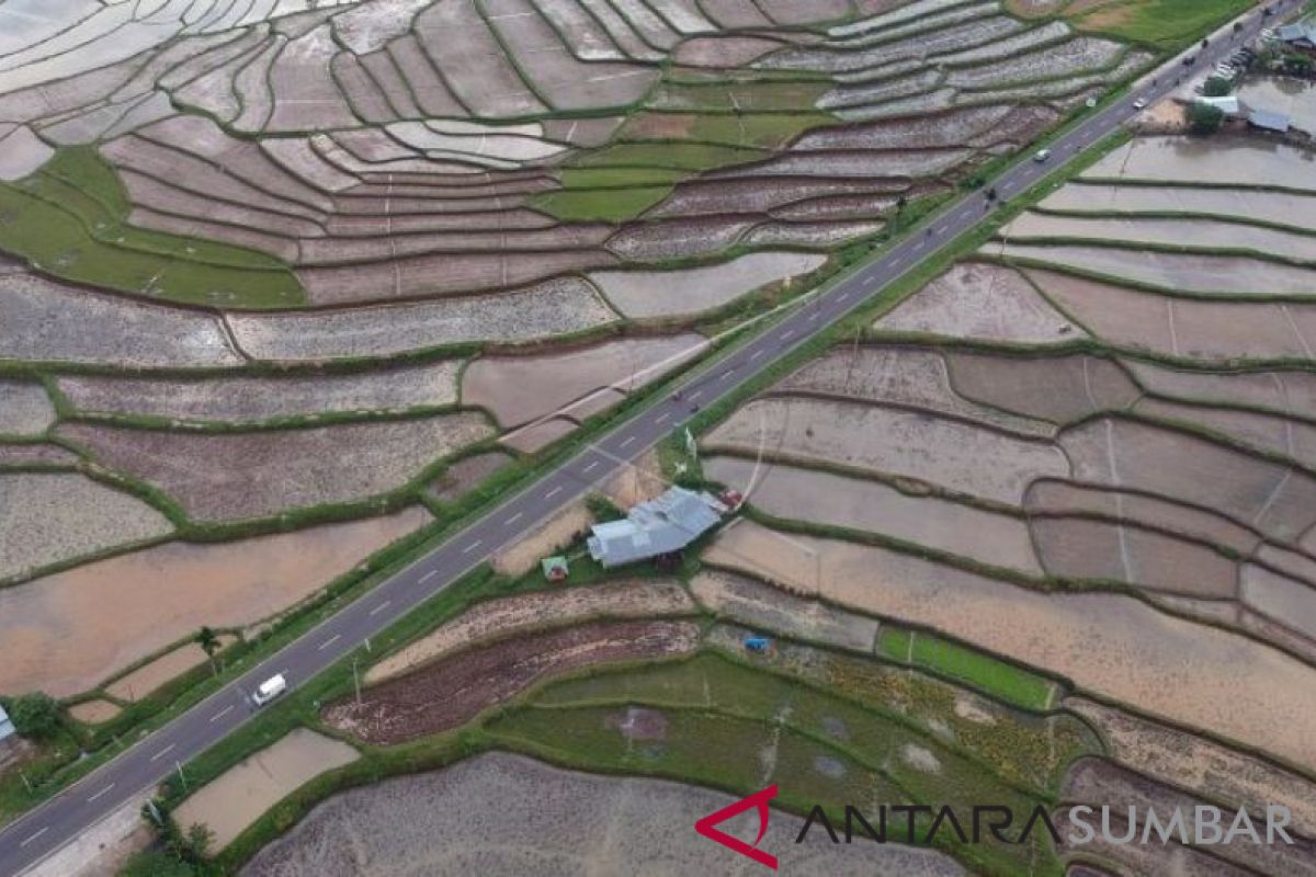 Ratusan hektare perkebunan sawit Mukomuko dicetak jadi sawah