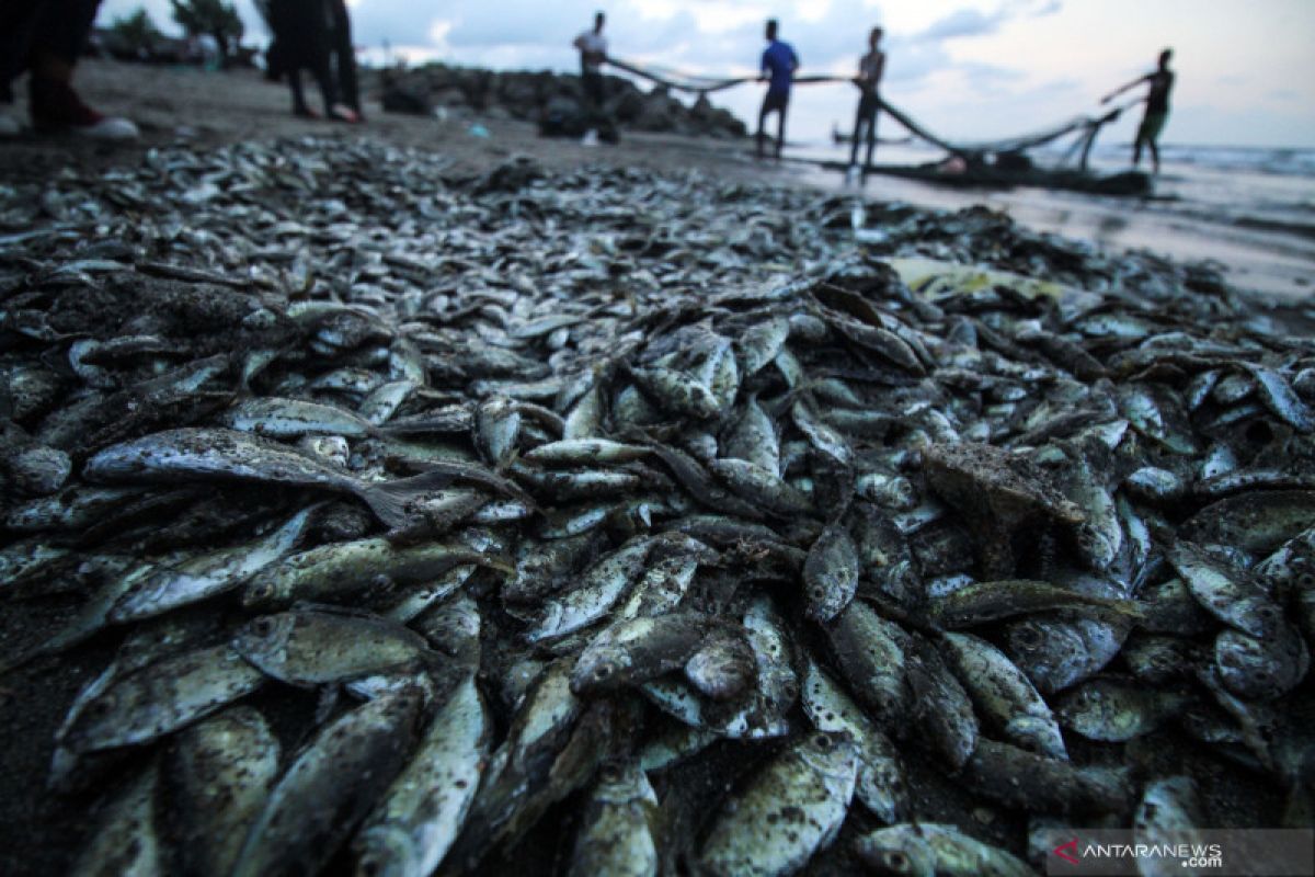 Penggunaan alat tangkap ikan harus terapkan teknologi ramah lingkungan