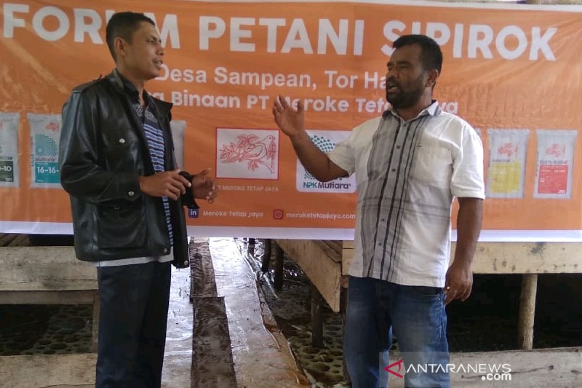 Forum Petani Sipirok minta kawanan monyet tidak dipolitisasi