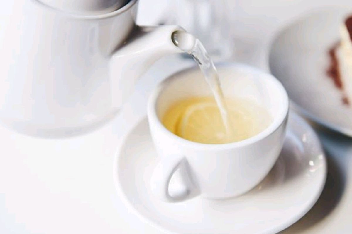 Berikut manfaat teh putih untuk kesehatan